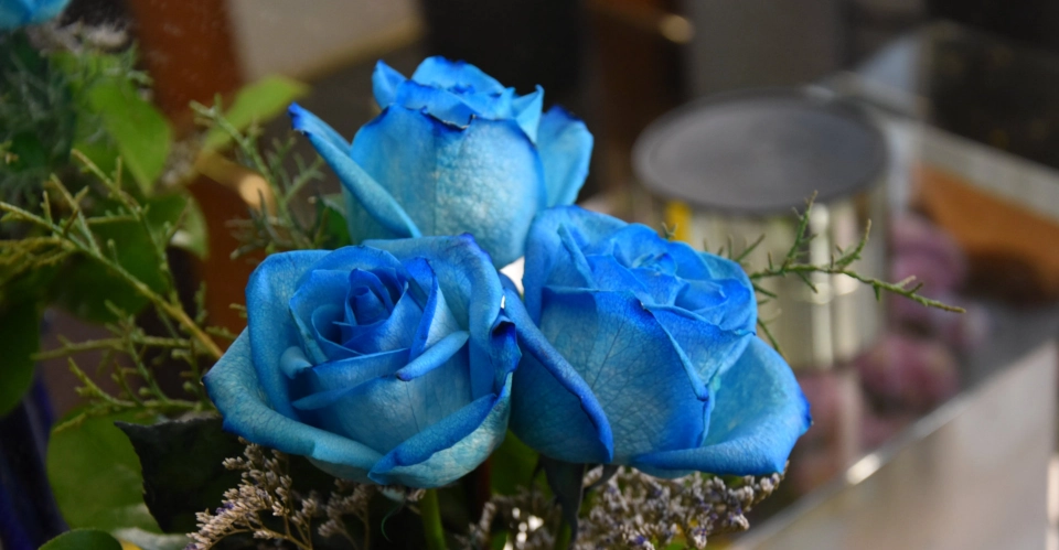 Background Photography for Advertising Layouts and Media